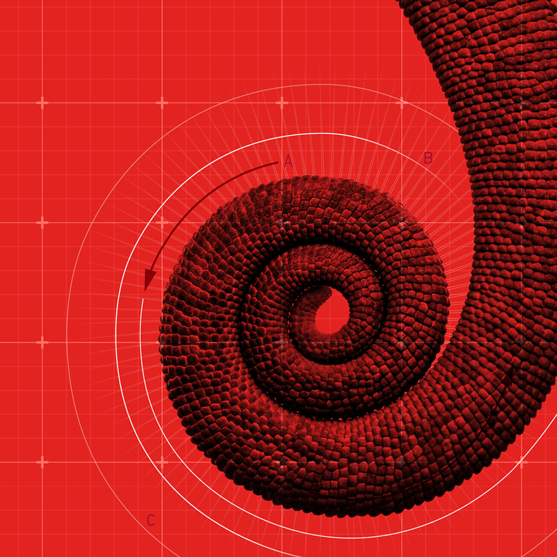Header-TLPS-22-1200x1200px-0e91b829