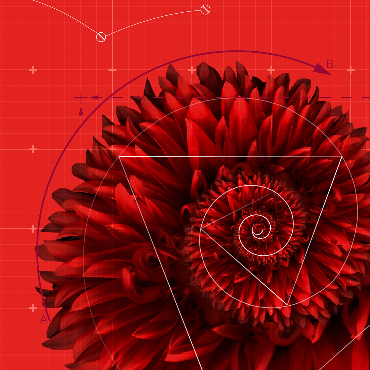 Header-TLPS-23-1200x1200px-a601deca